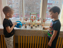 Огород на окне! Огород на окне!.